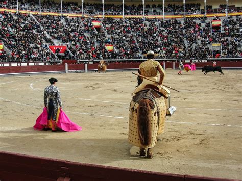 madrid bullfight schedule 2024